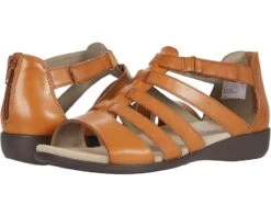 Aravon Abbey Gladiator